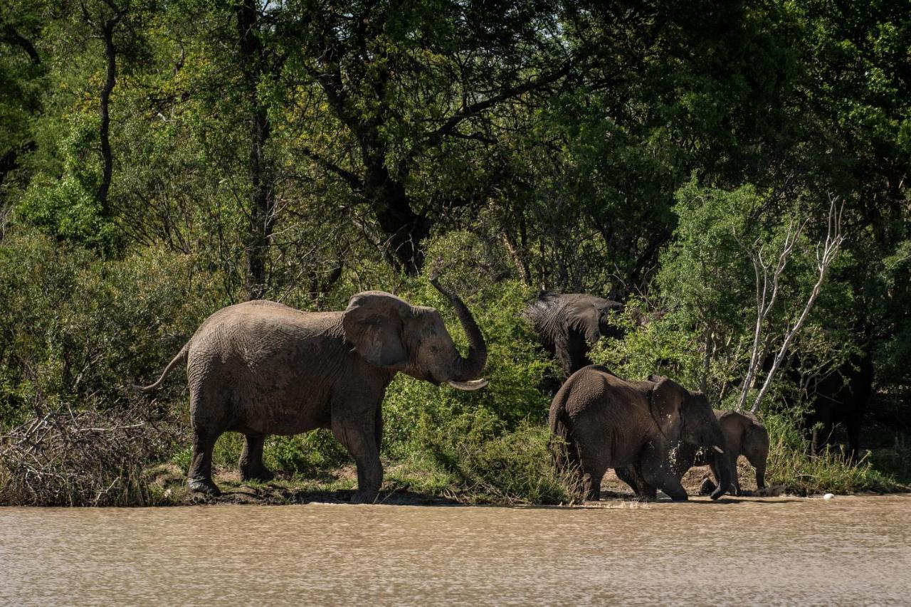 Kapama Buffalo Camp Kapama Game Reserve Exteriér fotografie