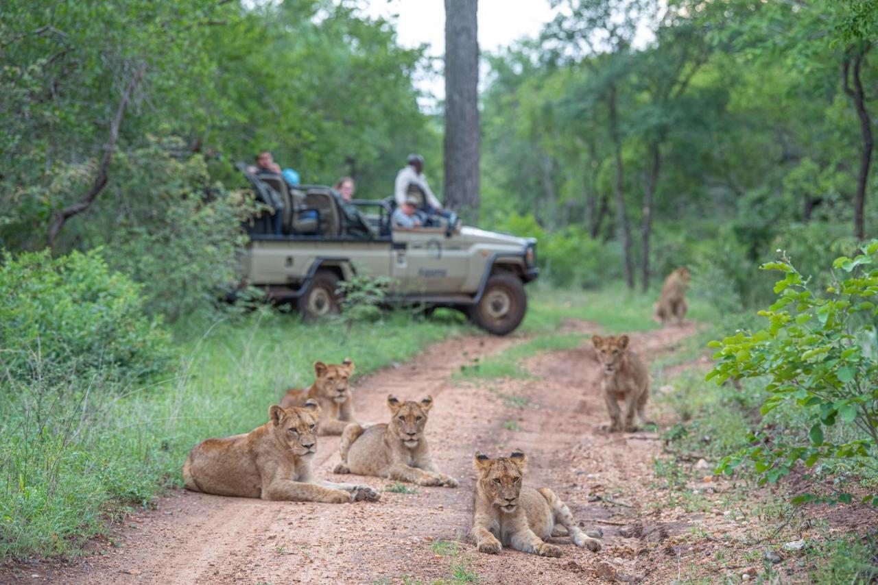 Kapama Buffalo Camp Kapama Game Reserve Exteriér fotografie